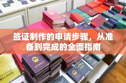 壤塘签证制作的申请步骤，从准备到完成的全面指南