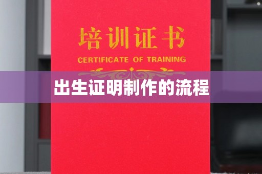 壤塘出生证明制作的流程
