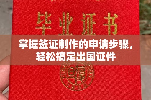 壤塘掌握签证制作的申请步骤，轻松搞定出国证件