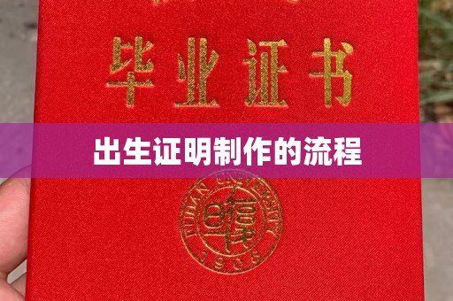 壤塘出生证明制作的流程
