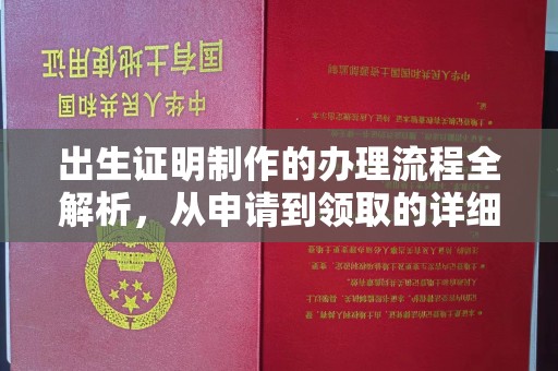 壤塘出生证明制作的办理流程全解析，从申请到领取的详细指南