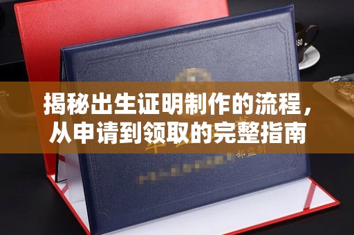 壤塘揭秘出生证明制作的流程，从申请到领取的完整指南