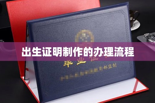 壤塘出生证明制作的办理流程