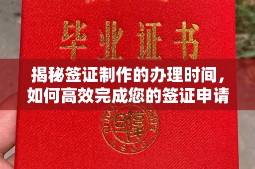 壤塘揭秘签证制作的办理时间，如何高效完成您的签证申请