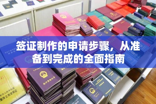 壤塘签证制作的申请步骤，从准备到完成的全面指南