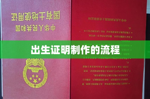 壤塘出生证明制作的流程