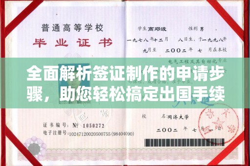 壤塘全面解析签证制作的申请步骤，助您轻松搞定出国手续