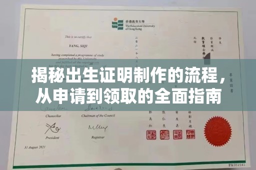 壤塘揭秘出生证明制作的流程，从申请到领取的全面指南