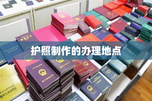 壤塘护照制作的办理地点