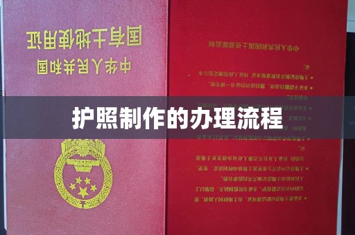 壤塘护照制作的办理流程